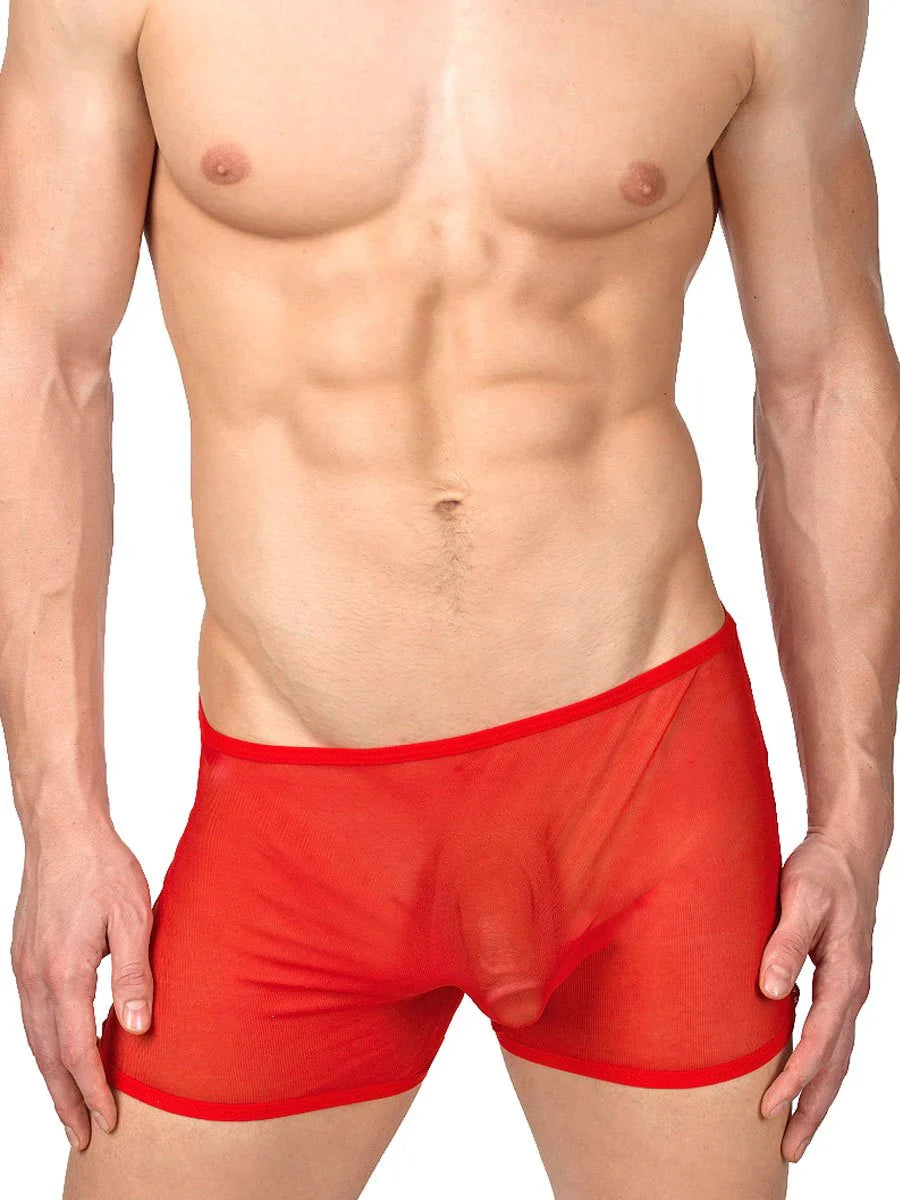 Lace & Mesh Underwear