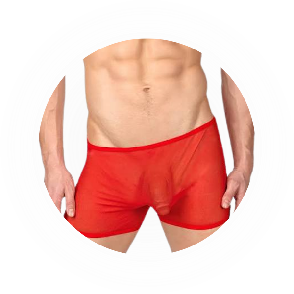 Lace & Mesh Underwear