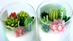 Cactus Flower Container Candle Citrus Lily Top Notes Warm Woody Finish
