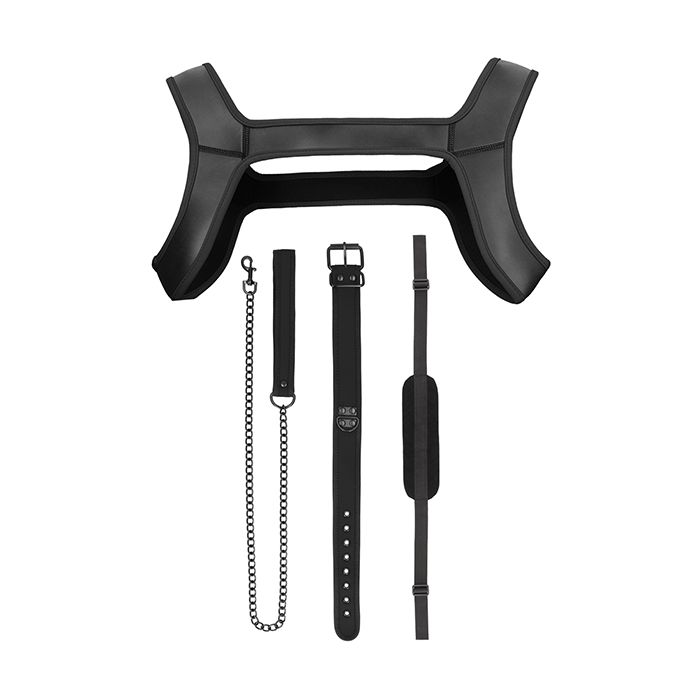 Puppy Play Complete Kit LXL Black All In One Accessories