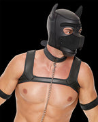Puppy Play Complete Kit LXL Black All In One Accessories