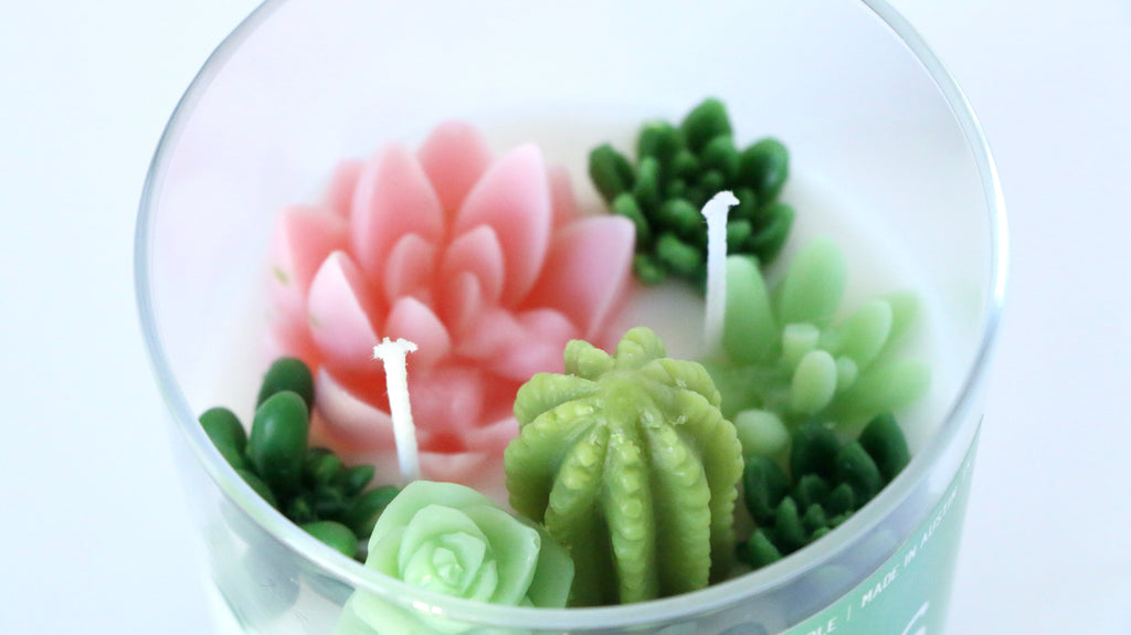 Cactus Flower Container Candle Citrus Lily Top Notes Warm Woody Finish