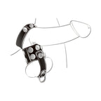 Ballgear Ball Stretcher With Separator & D-Ring - Black