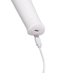 Le Wand Classique Petite Wand Massager