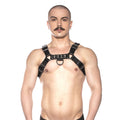 Prowler RED Bull Harness Black L