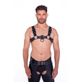Prowler RED Bull Harness Black with Metal Fittings L