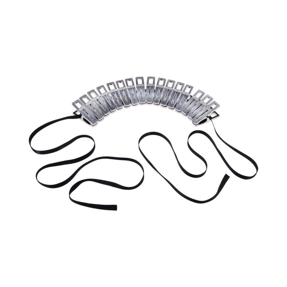 Sportsheets Edge Body Zipper Clothes Pins