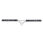 Sportsheets Sex & Mischief Shadow Day Collar