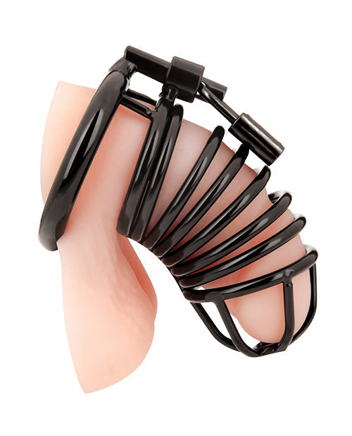 Chastity Cage 2 Piece Black Stainless Steel Cage Design