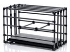 Master Series Kennel BDSM Puppy & Pet Play Cage