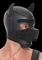 Puppy Hood Neoprene Black Detachable Adjustable Straps